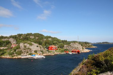 Norveç