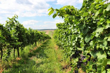 Burgenland
