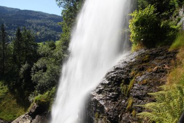 Norveç
