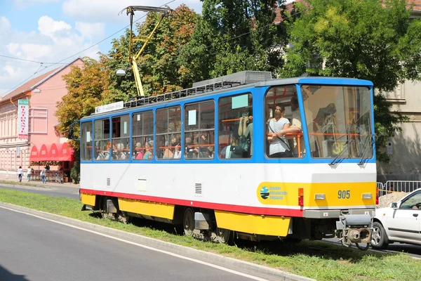 Transporte público Szeged — Foto de Stock