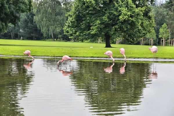 Parque Dortmund — Fotografia de Stock