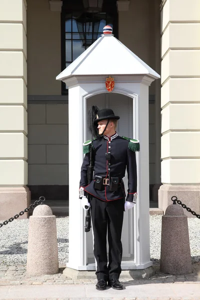 Soldier in Norway — Stock Photo, Image