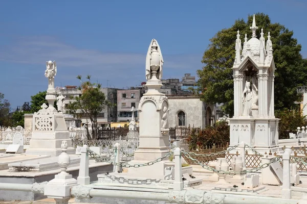 Havana friedhof — Stockfoto