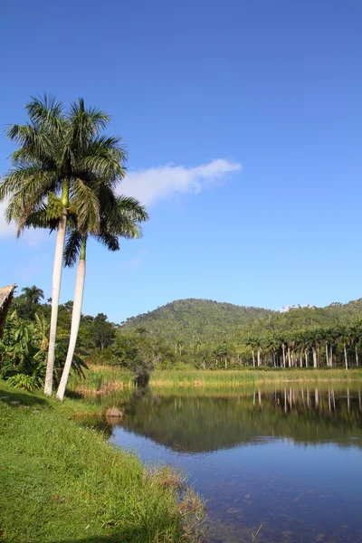 Cuba - Las Terrazas — Foto Stock