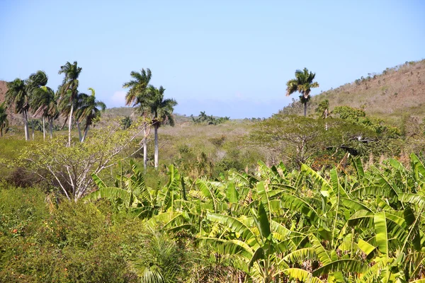 Cuba — Stockfoto