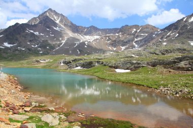 Stelvio Milli Parkı