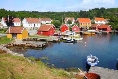 Norveç