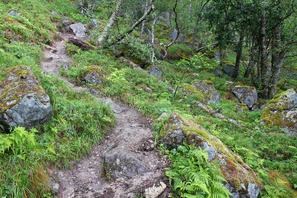 Hardangervidda, Норвегія — стокове фото