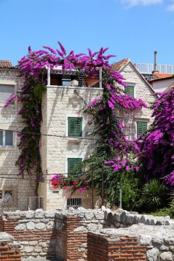 Hırvatistan - split