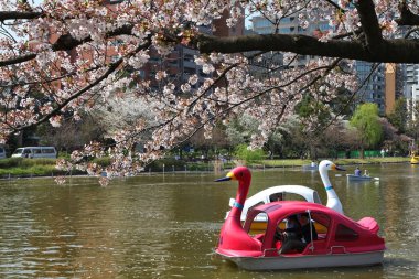Ueno Park, Tokyo