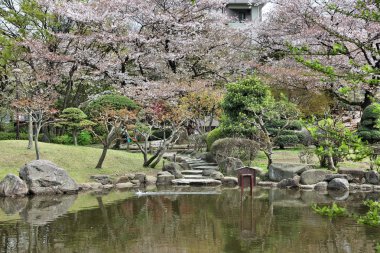 Tokyo park