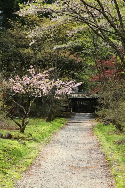 日本の公園 — ストック写真