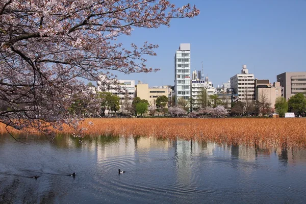 TOKIO — Stockfoto