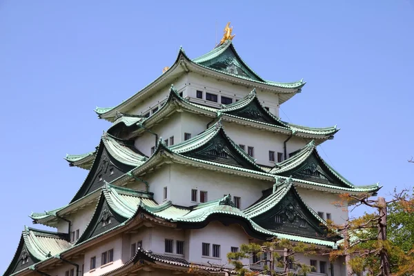 Castelul Nagoya — Fotografie, imagine de stoc