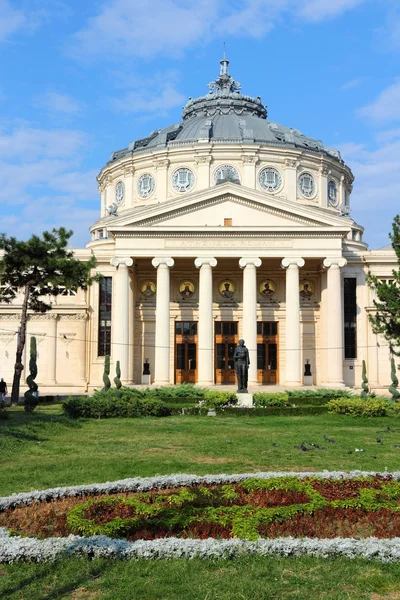 BUKAREST — Stockfoto