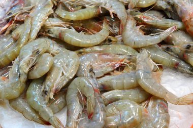 Langostino