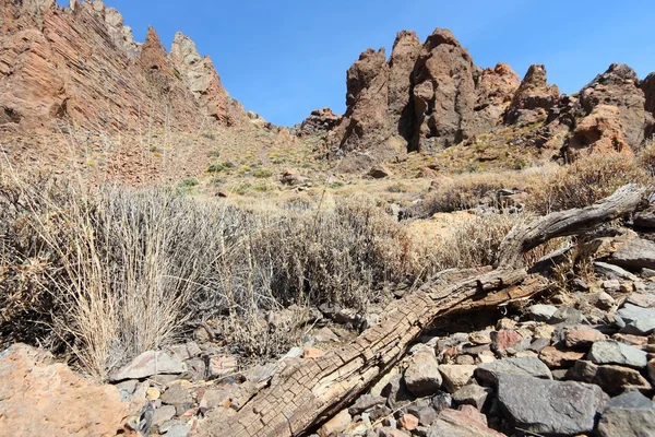 Tenerife - nationaal park teide — Stockfoto