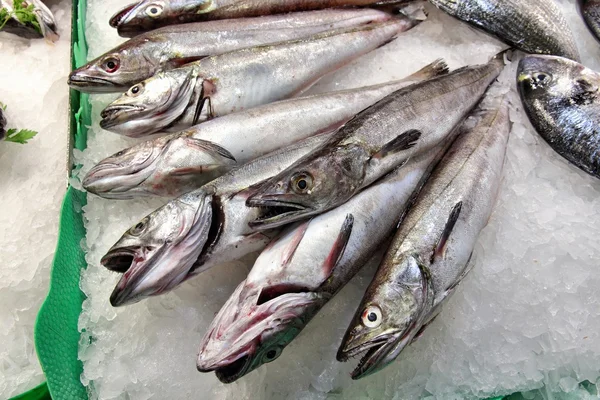 スペインの魚市場 — ストック写真