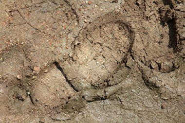 Shoeprint in mud clipart
