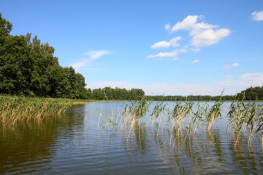 Masuria Polonya