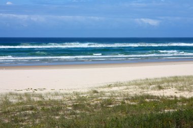 Australia beach clipart