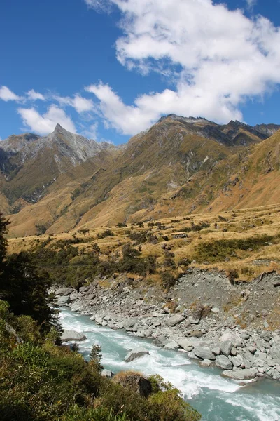Nieuw-Zeeland Nationaalpark — Stockfoto