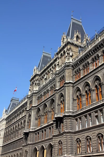 Wien rathaus — Stockfoto