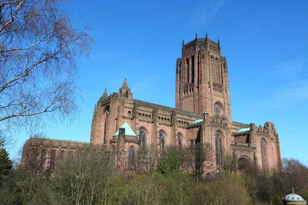 Liverpool cathedral — Stockfoto