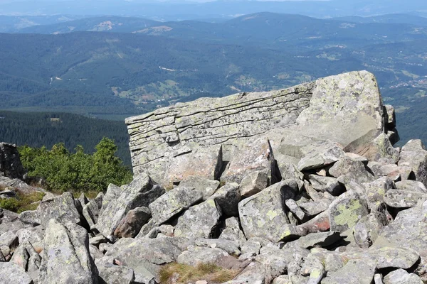 Nemzeti park, Lengyelország — Stock Fotó