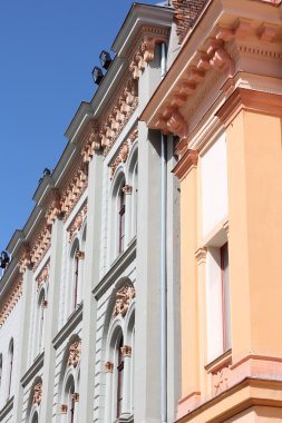 Sinagoga de pectorales