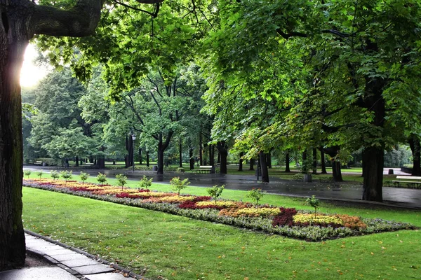Warsaw park — Stock Photo, Image