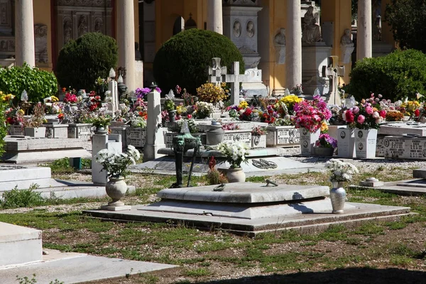Campo Verano cemetery — Stock Photo, Image