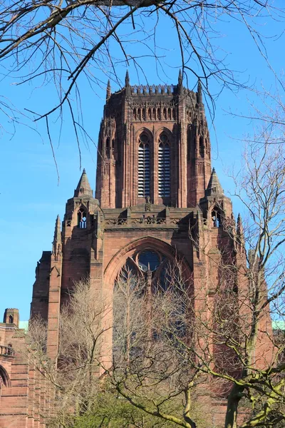 Liverpool cathedral — Stockfoto