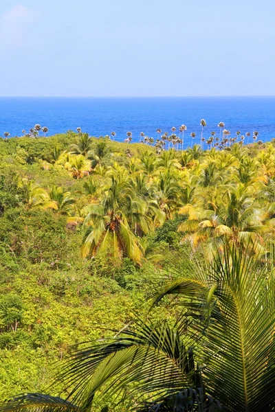 Kuba natur — Stockfoto