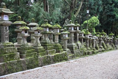 Nara, Japonya (kansai bölgesi)