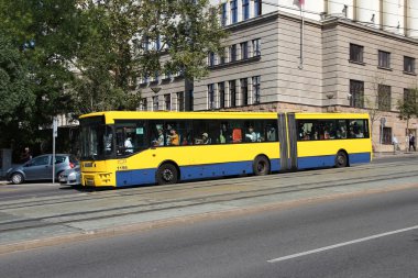 Belgrad otobüs