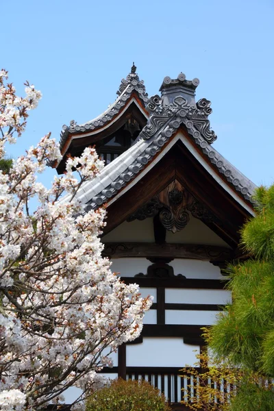 Japan temple — Stock Photo, Image