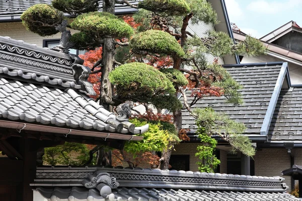 Architektura w Japonii — Zdjęcie stockowe