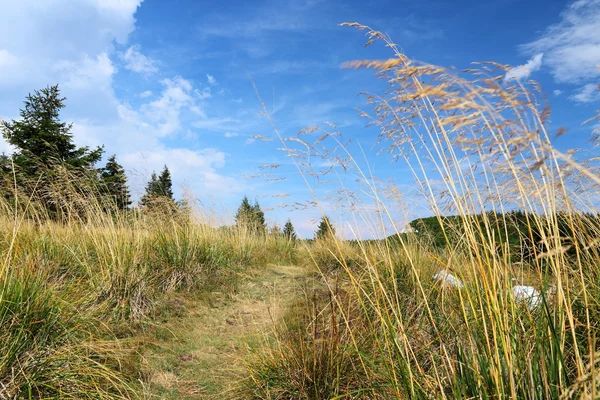 Rumänien Natur — Stockfoto