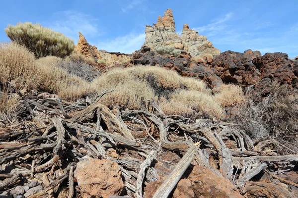 Parque Nacional del Teide — Foto de Stock