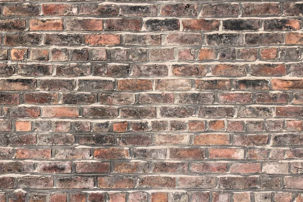 Brick background — Stock Photo, Image