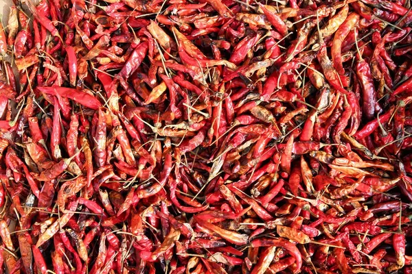 Sušení chilli papričky — Stock fotografie