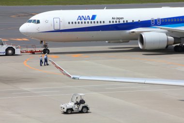Ana Boeing 767