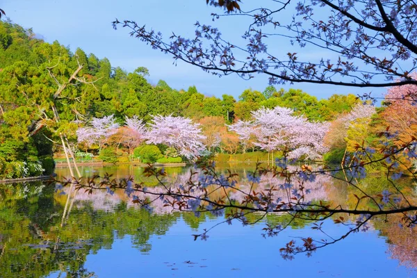 Kyoto, Japonia — Zdjęcie stockowe