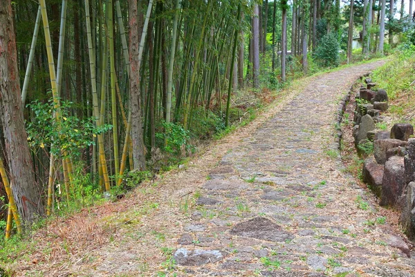 Japonya nakasendo iz — Stok fotoğraf