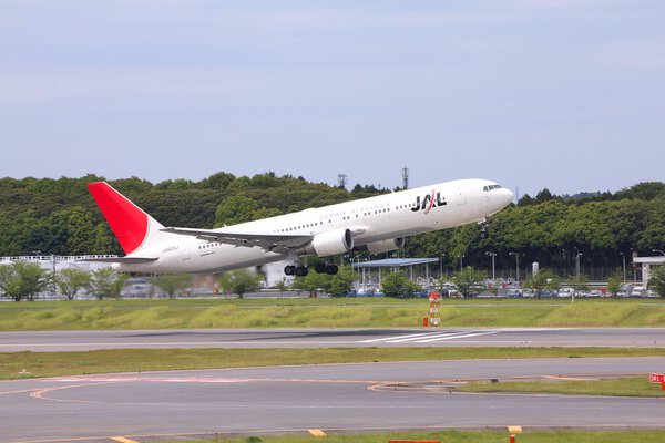Japan Airlines