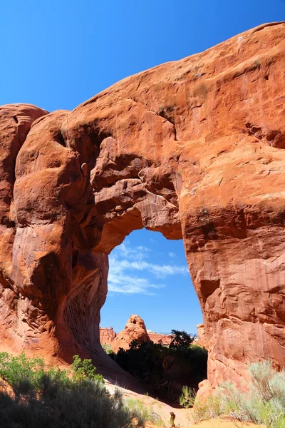 Estados Unidos naturaleza — Foto de Stock