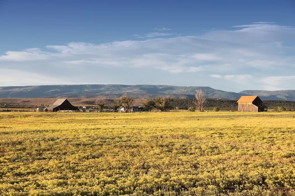 Kolorado — Stockfoto