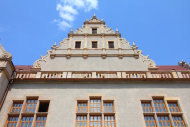 Polonya Üniversitesi
