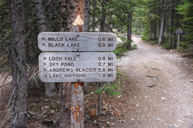 rocky Dağları Trails